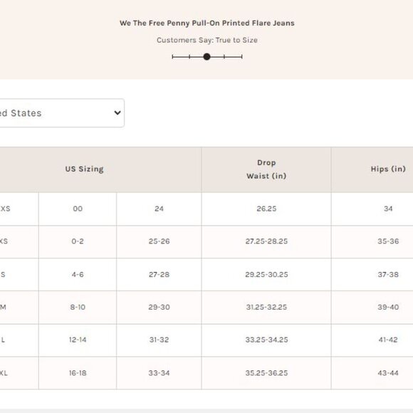 We The Free Penny Pull-On Printed Flare Jeans / Indigo Combo Everything - Picture 5 of 5